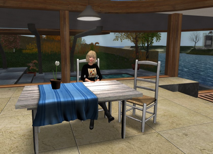 Sitting at the kitchen table (in the latest Linden viewer)