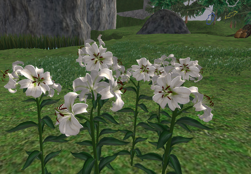 Prim flowers in Gumi's Garden