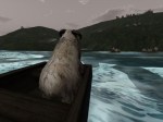 The adventurous sheep sets sail!