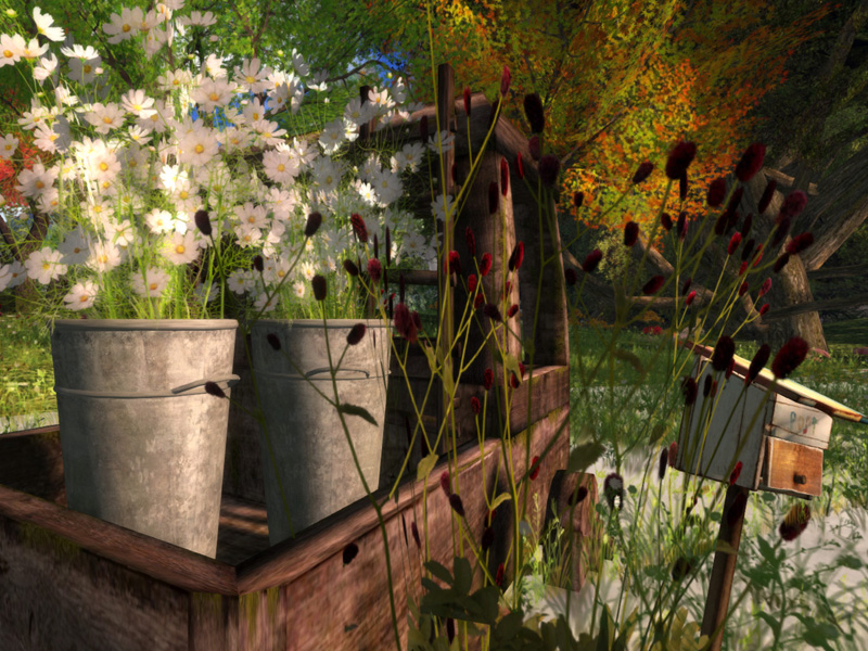 Pastoral on Dernier Lamento, photograph by Honour Macmillan Pastoral on Dernier Lamento, photograph by Honour Macmillan