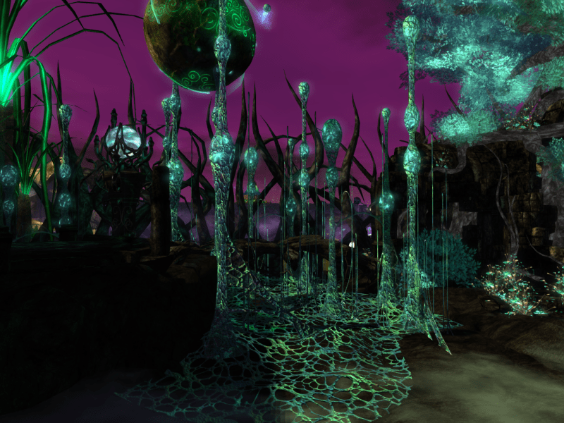 Entry for the Garden Contest