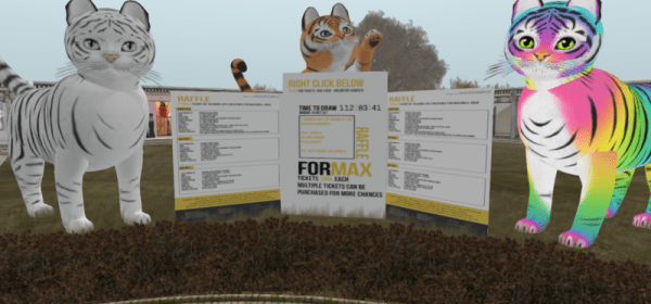 The raffle for Max with prizes