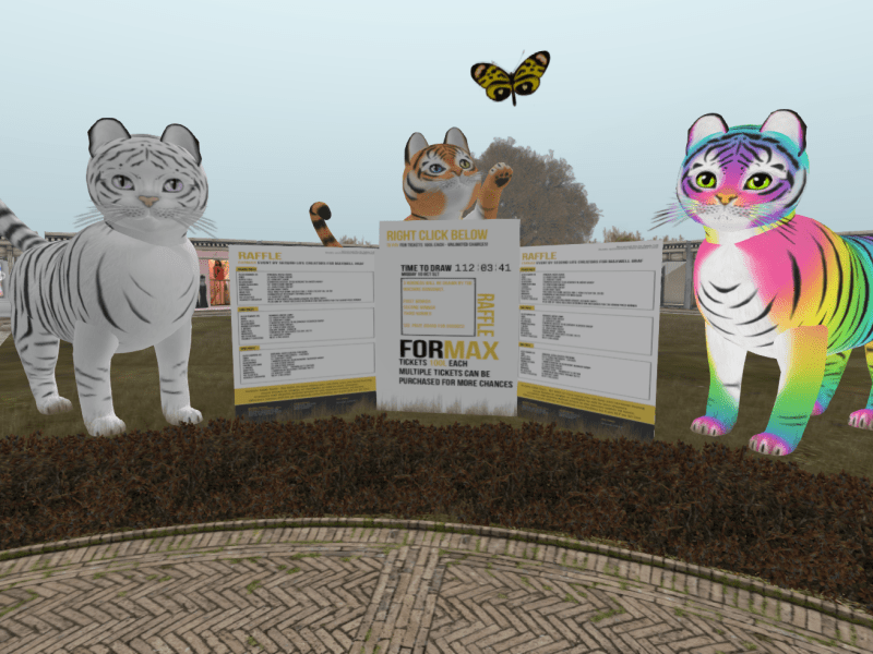 The raffle for Max with prizes