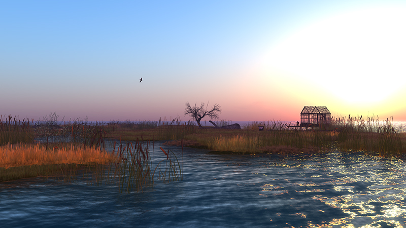 Calas Galadhon, photographed by PJ Trenton