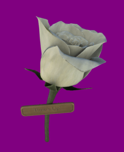 Time's Up White Rose Pin