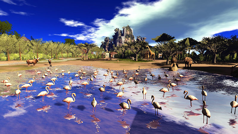 Feed a Smile, photographed by Wildstar Beaumont