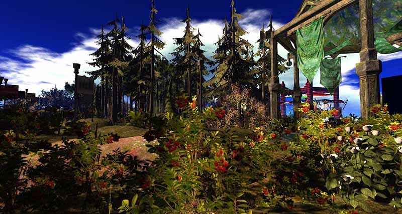 One Billion Rising, photographed by Wildstar Beaumont