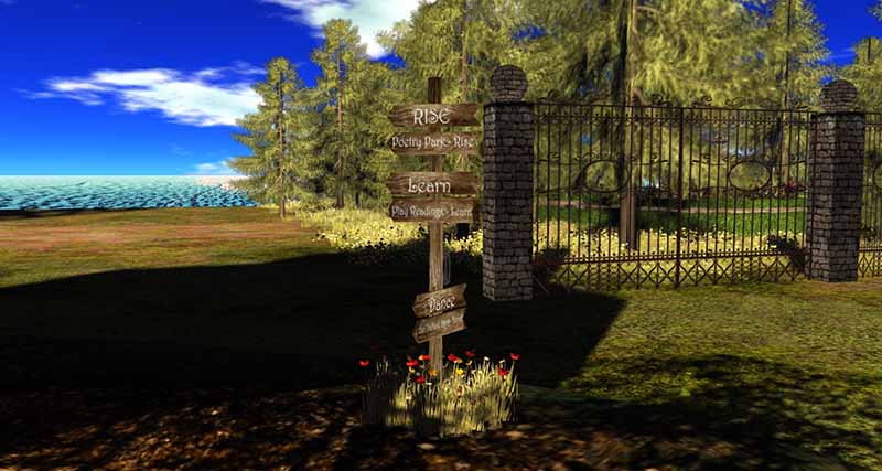 One Billion Rising, photographed by Wildstar Beaumont