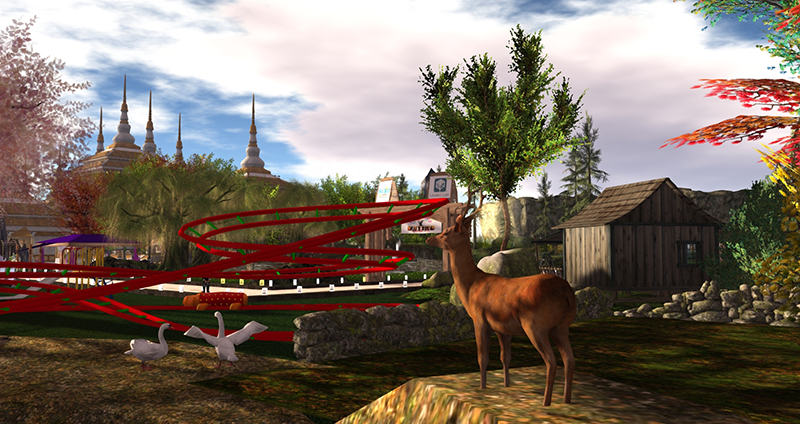 Relay 2018 - RFL Victory, photographed by Wildstar Beaumont