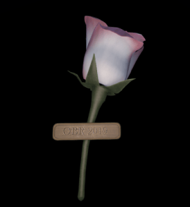 The Rose Pin