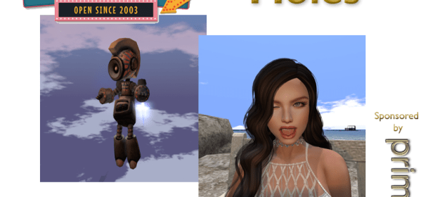 Talks at SL16B: Meet the Moles