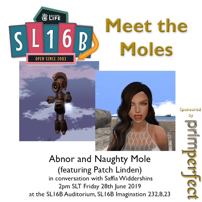 Talks at SL16B: Meet the Moles