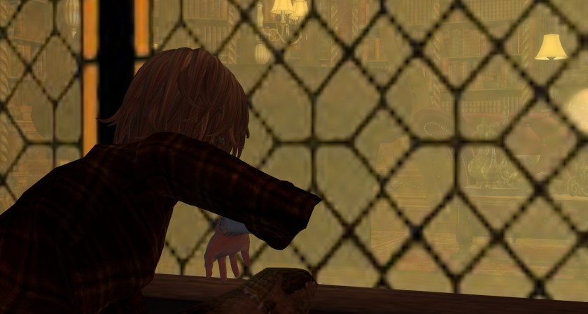 Tak looks inside the Library, photographed by Wildstar Beaumont