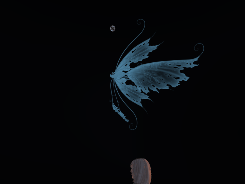 The MetaMakeover fish!